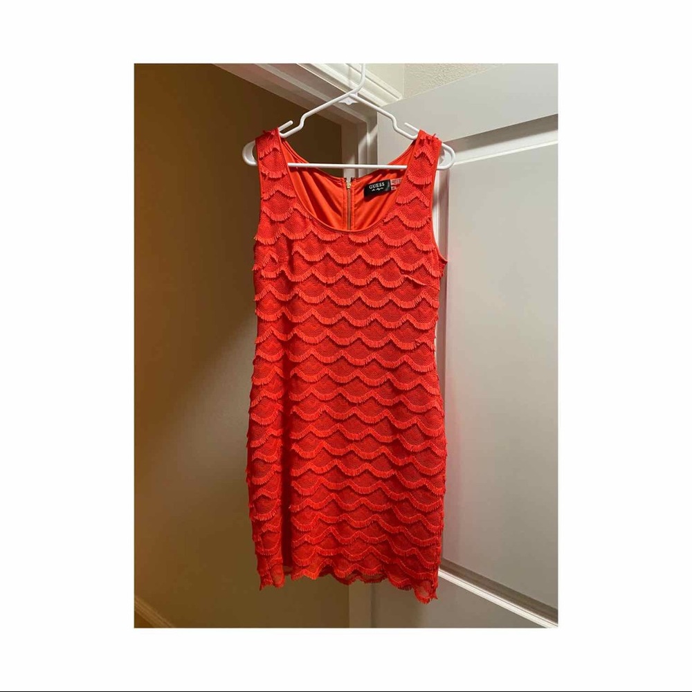 Scalloped Lace Dress